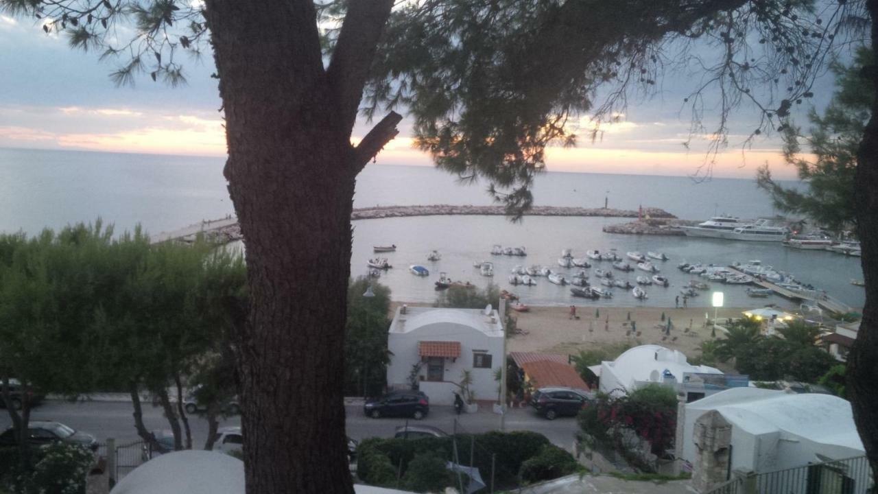 Blu Marine Casa A 10Mt Dalla Spiaggia Peschici Extérieur photo