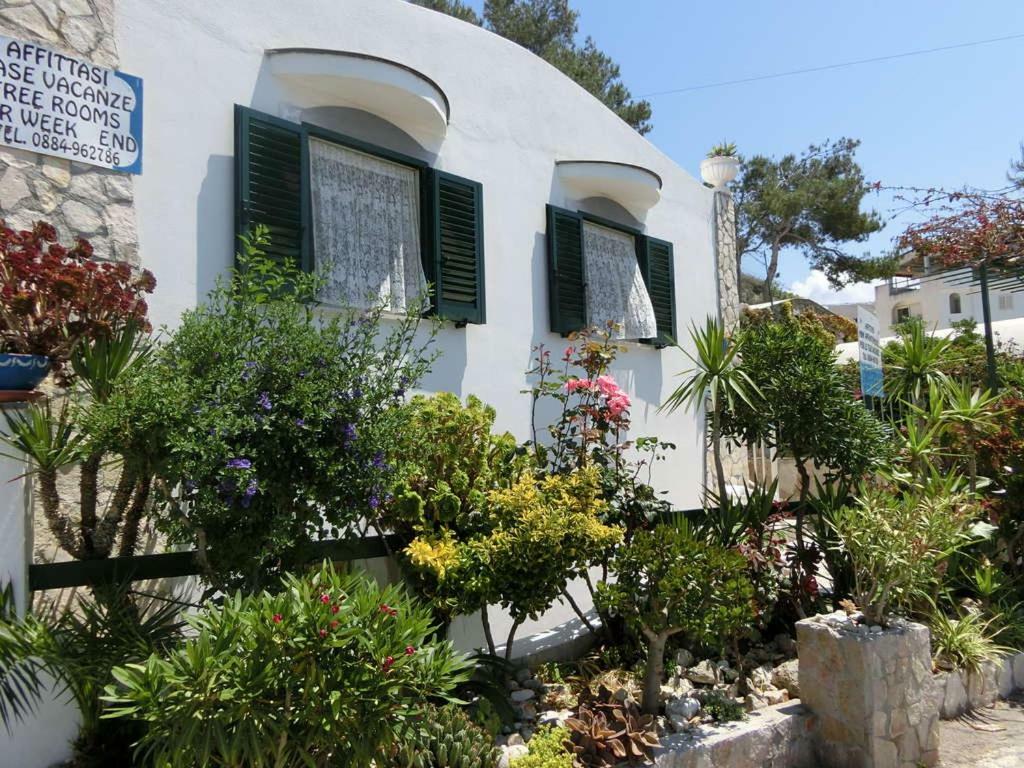 Blu Marine Casa A 10Mt Dalla Spiaggia Peschici Extérieur photo