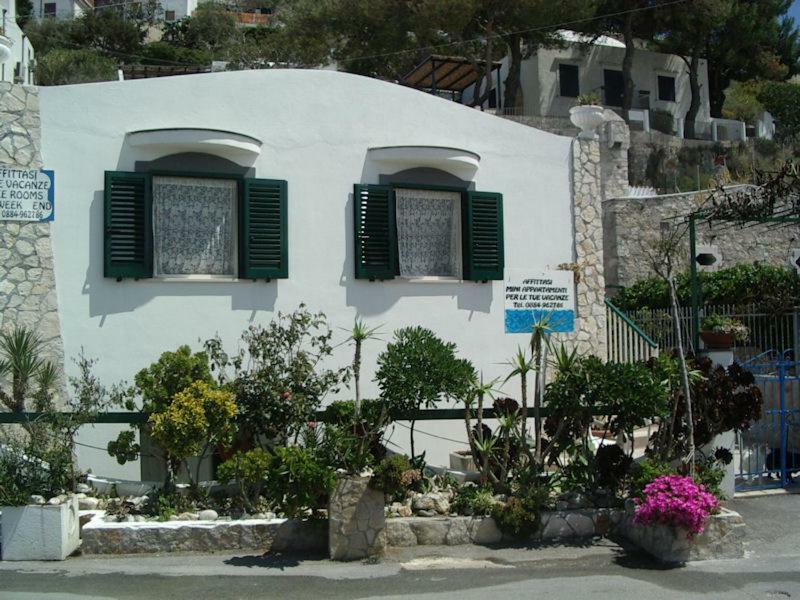 Blu Marine Casa A 10Mt Dalla Spiaggia Peschici Extérieur photo